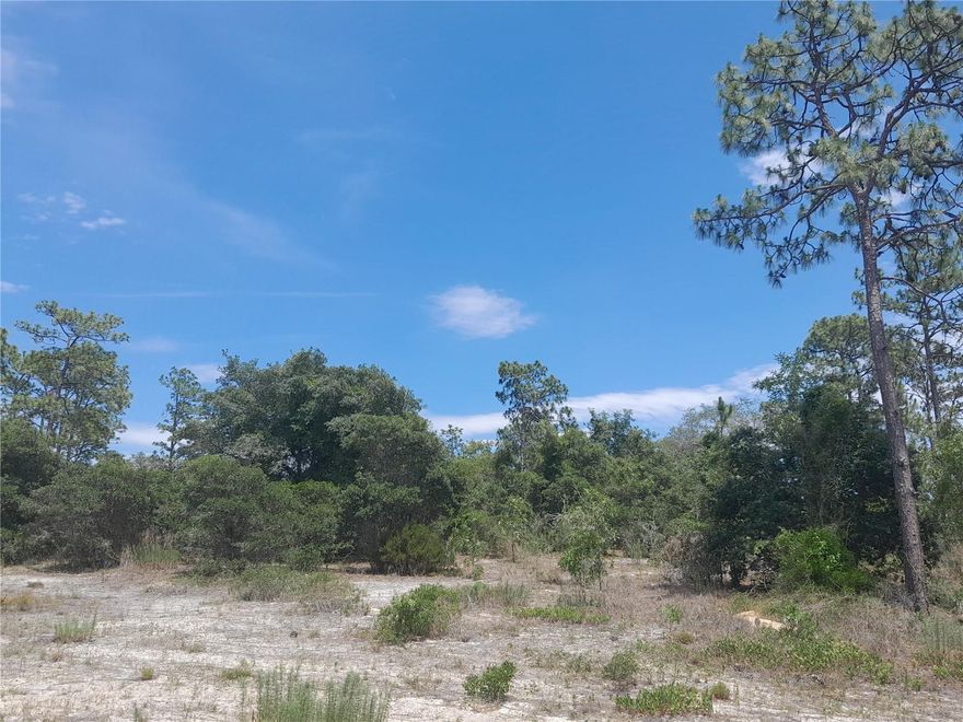 HIGH & DRY .46 ACRES on STATE ROAD 121!!  This is almost a half acre where you can build your new home or place a manufactured home on it. Right on a paved road, SR 121. Nice oaks and pine trees. Just minutes to Williston for grocery shopping, schools, salons, restaurants and activities.  Horse activities at HITS & WEC just 30 minutes away to Ocala. Gainesville just 30 minutes and Orlando 2 hours or less. There is diving in the springs near by, boating, canoeing and kayaking, hiking, etc. Dimensions taken from property appraiser, please do your own diligence. Come and enjoy the outdoor living and just relaxation.