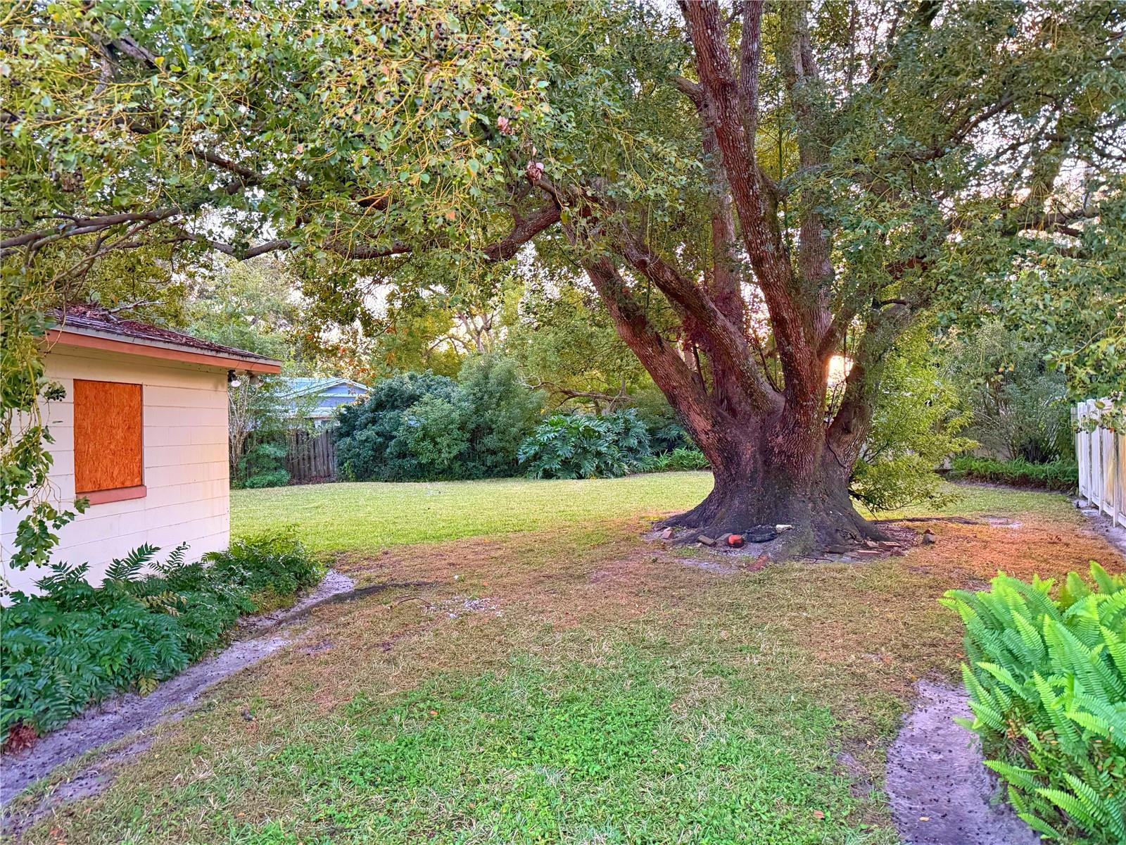 TEALWOOD COVE FIRST ADD - Residential