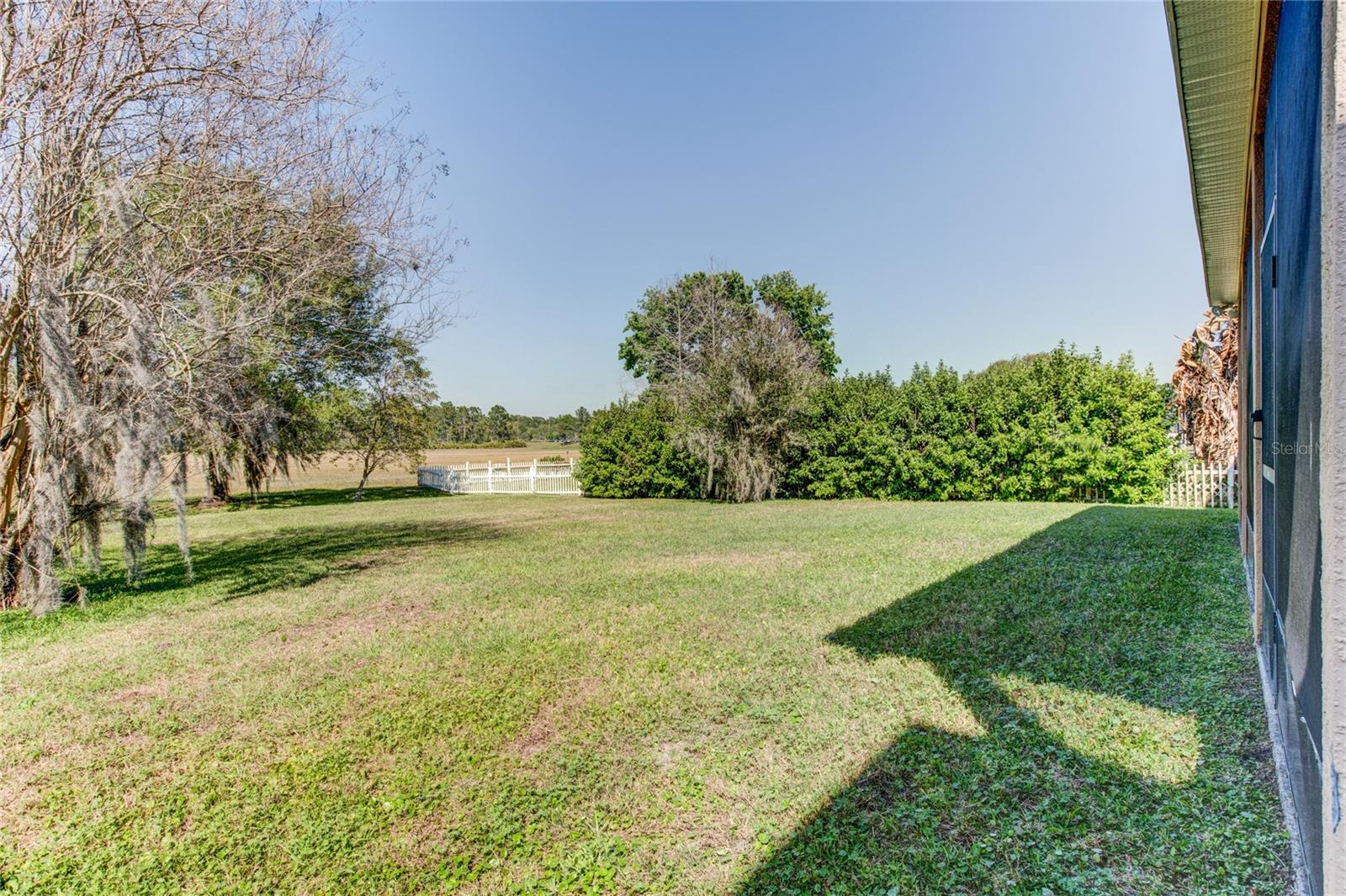 CYPRESS POINTE CYPRESS SPRINGS - Residential