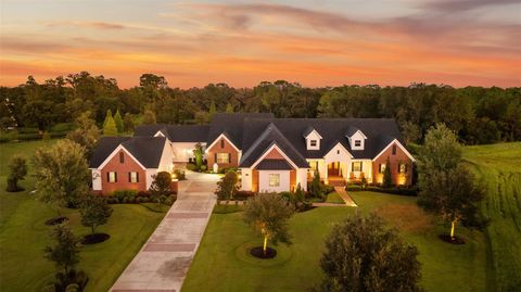 Photo of 10705 Crane Hill Court, Thonotosassa, FL 33592 (MLS # TB8429738)