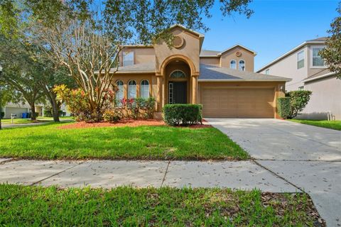 Photo of 471 Westchester Hills Lane, Valrico, FL 33594 (MLS # O6372934)