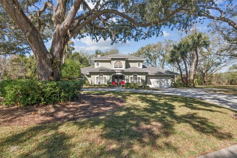 11003 NEST COURT ODESSA FL 33556