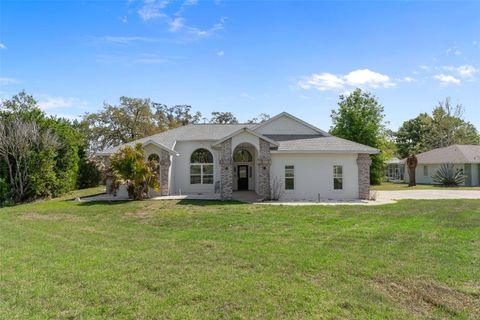 Photo of 199 N Crystal Meadow Path, Lecanto, FL 34461 (MLS # OM722077)