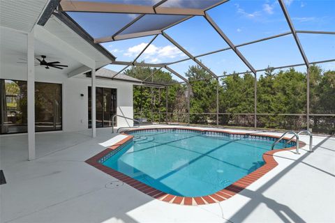 Tiny photo for 199 N Crystal Meadow Path, Lecanto, FL 34461 (MLS # OM722077)