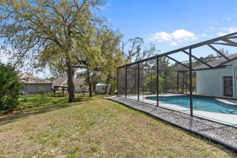 Tiny photo for 199 N Crystal Meadow Path, Lecanto, FL 34461 (MLS # OM722077)