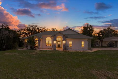 Tiny photo for 199 N Crystal Meadow Path, Lecanto, FL 34461 (MLS # OM722077)