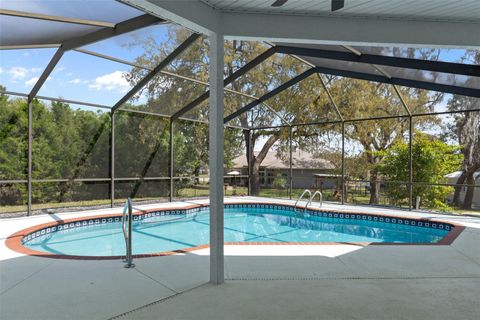 Tiny photo for 199 N Crystal Meadow Path, Lecanto, FL 34461 (MLS # OM722077)