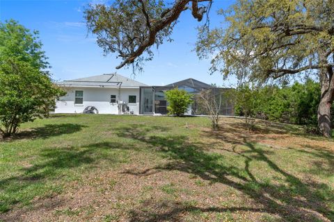 Tiny photo for 199 N Crystal Meadow Path, Lecanto, FL 34461 (MLS # OM722077)