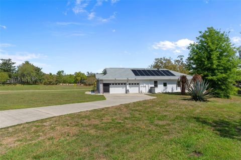 Tiny photo for 199 N Crystal Meadow Path, Lecanto, FL 34461 (MLS # OM722077)