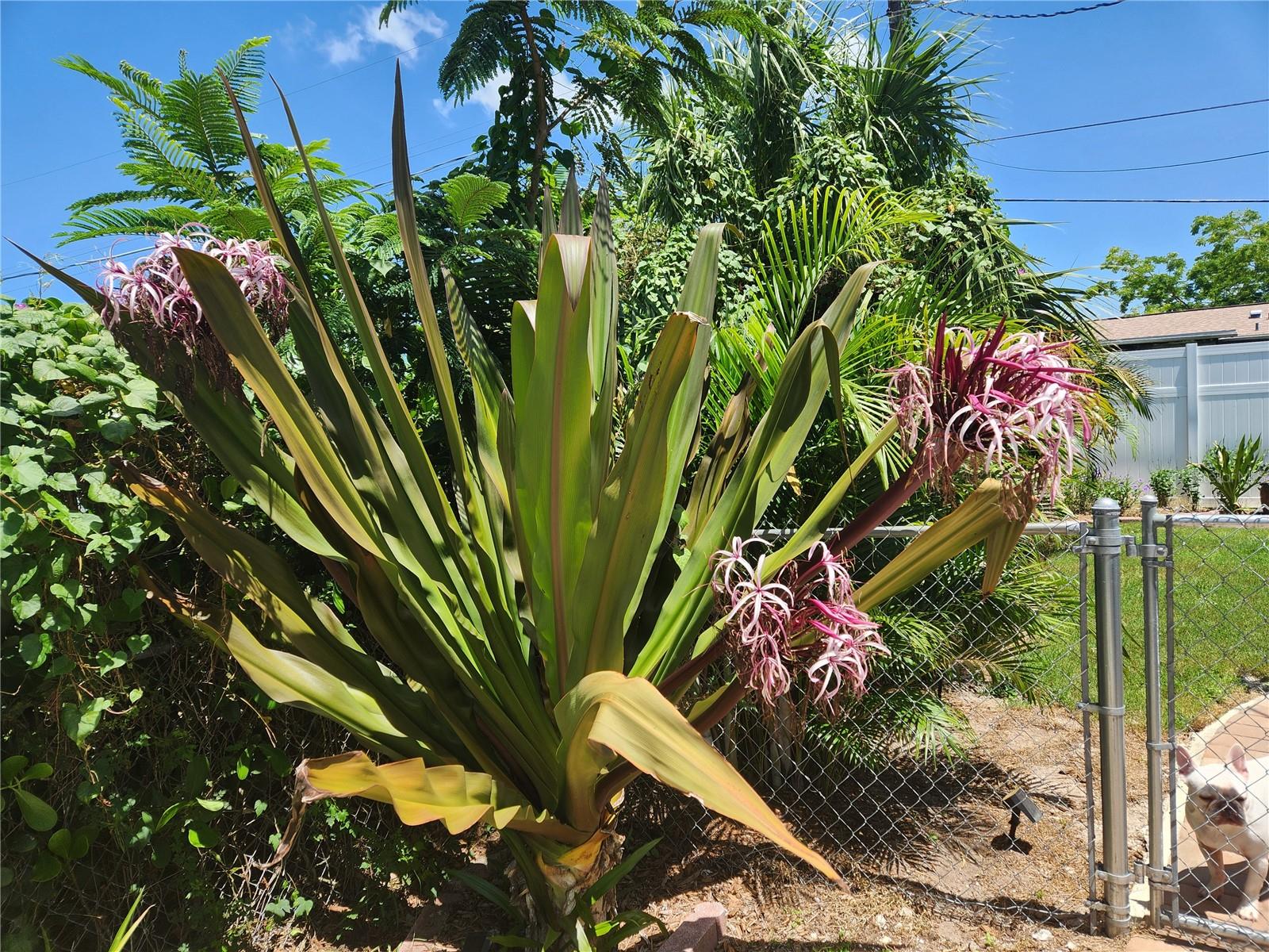 LA REBA SUB - Residential