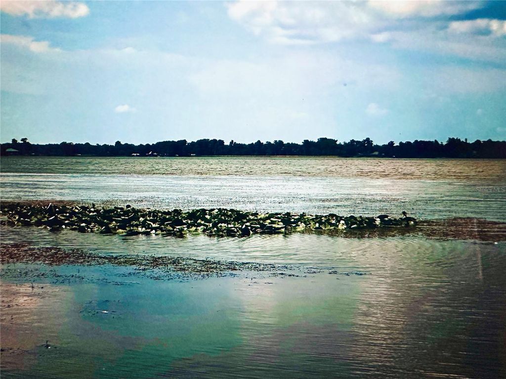 Photo of 2807 Tindel Camp Road, Lake Wales, FL 33898 (MLS # O6383269)