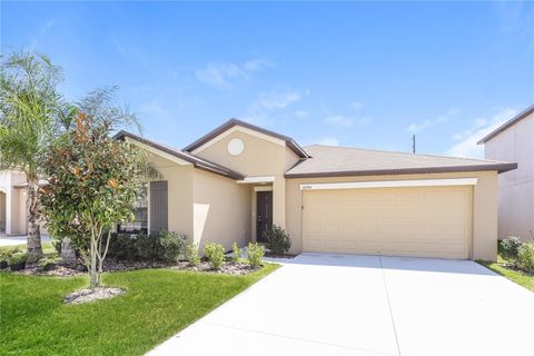 10204 CARLOWAY HILLS DRIVE WIMAUMA FL 33598