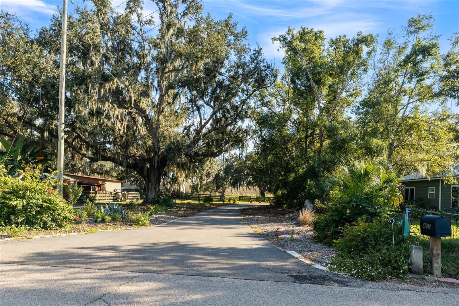 UNPLATTED - Residential