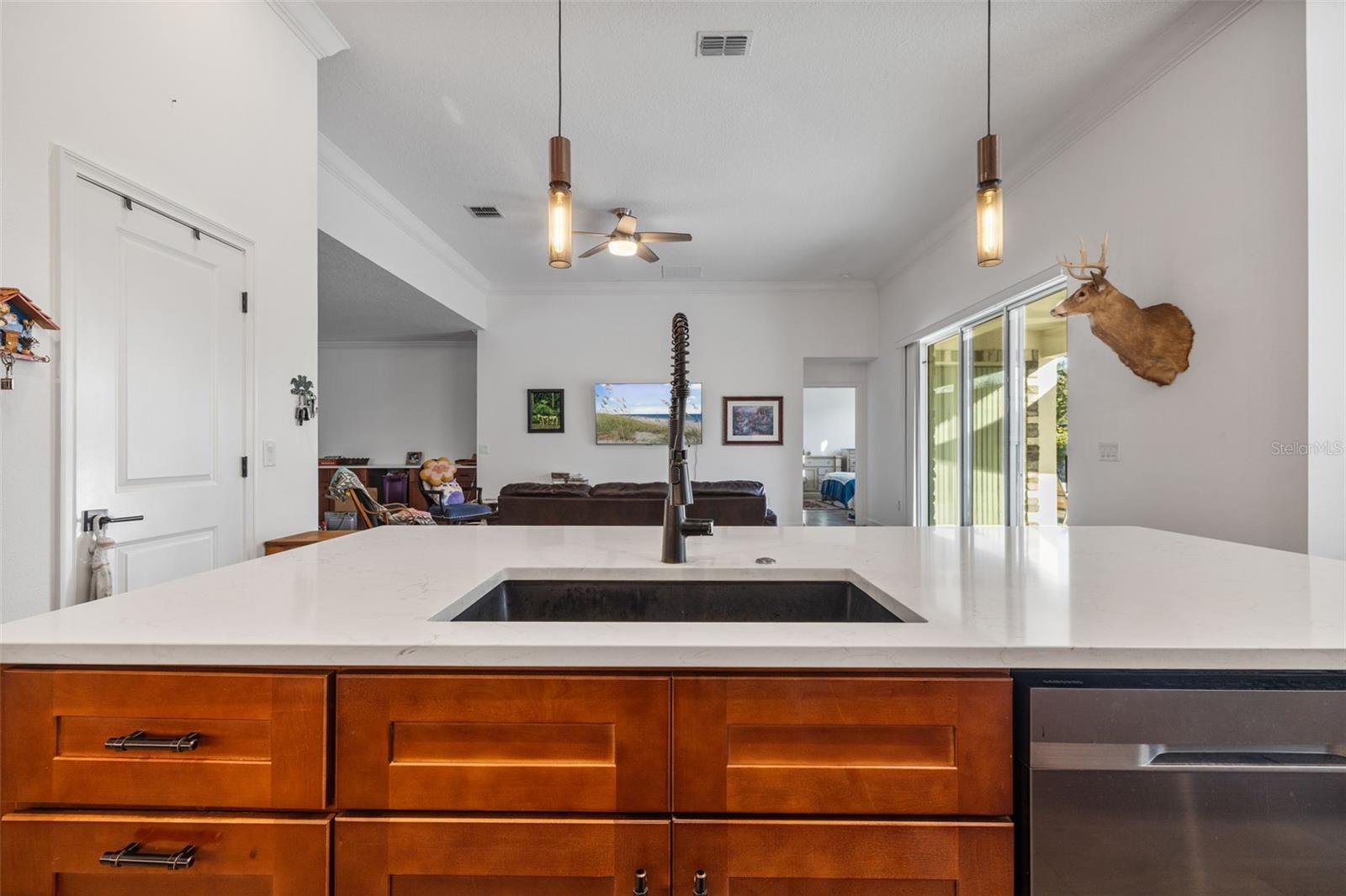 UNPLATTED - Residential