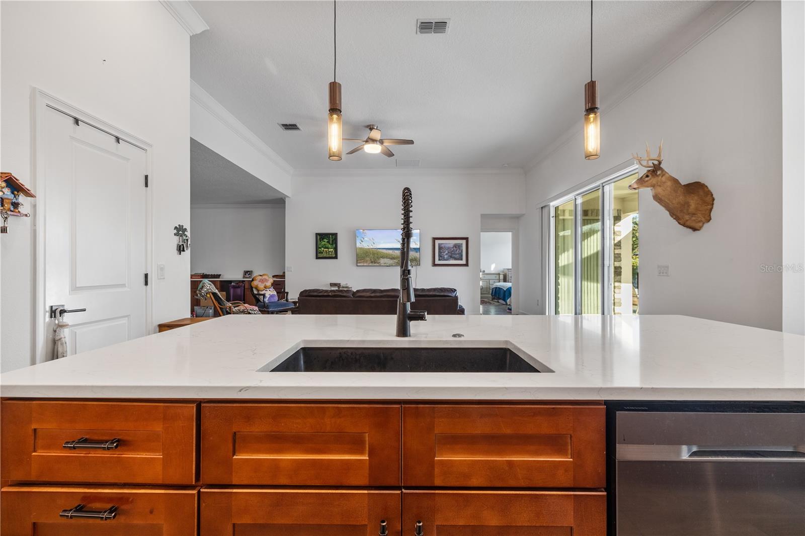 UNPLATTED - Residential