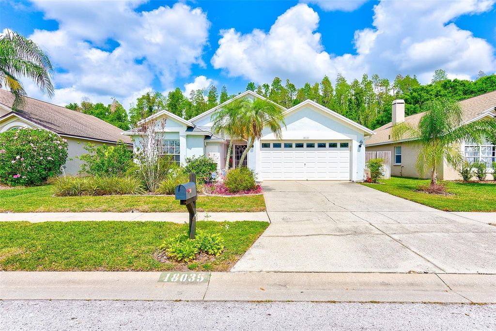 Photo of 18035 Palm Breeze Drive, Tampa, FL 33647 (MLS # TB8372551)