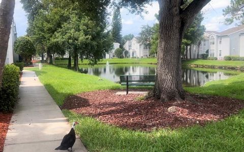 A home in KISSIMMEE