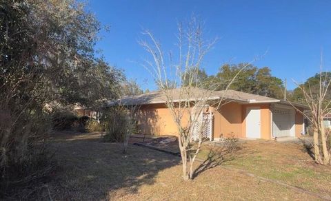 Photo of 5665 E Shady Acres Drive, Inverness, FL 34453 (MLS # TB8469627)