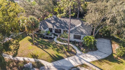 206 WILD OAK DRIVE BRANDON FL 33511