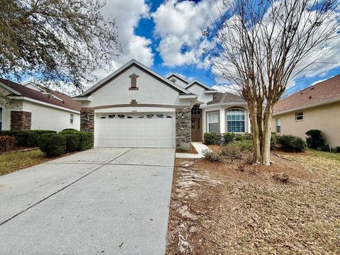 Photo of 10226 Evergreen Hill Drive, Tampa, FL 33647 (MLS # TB8479426)