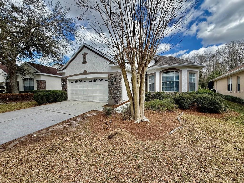 Photo of 10226 Evergreen Hill Drive, Tampa, FL 33647 (MLS # TB8479426)