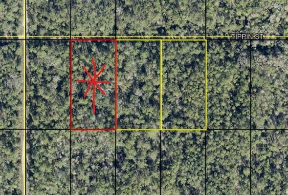 HASTINGS BLVD, HASTINGS, FL 32145 - Image dde5f4f62a3bf9583c77f8657dfded72/984690206