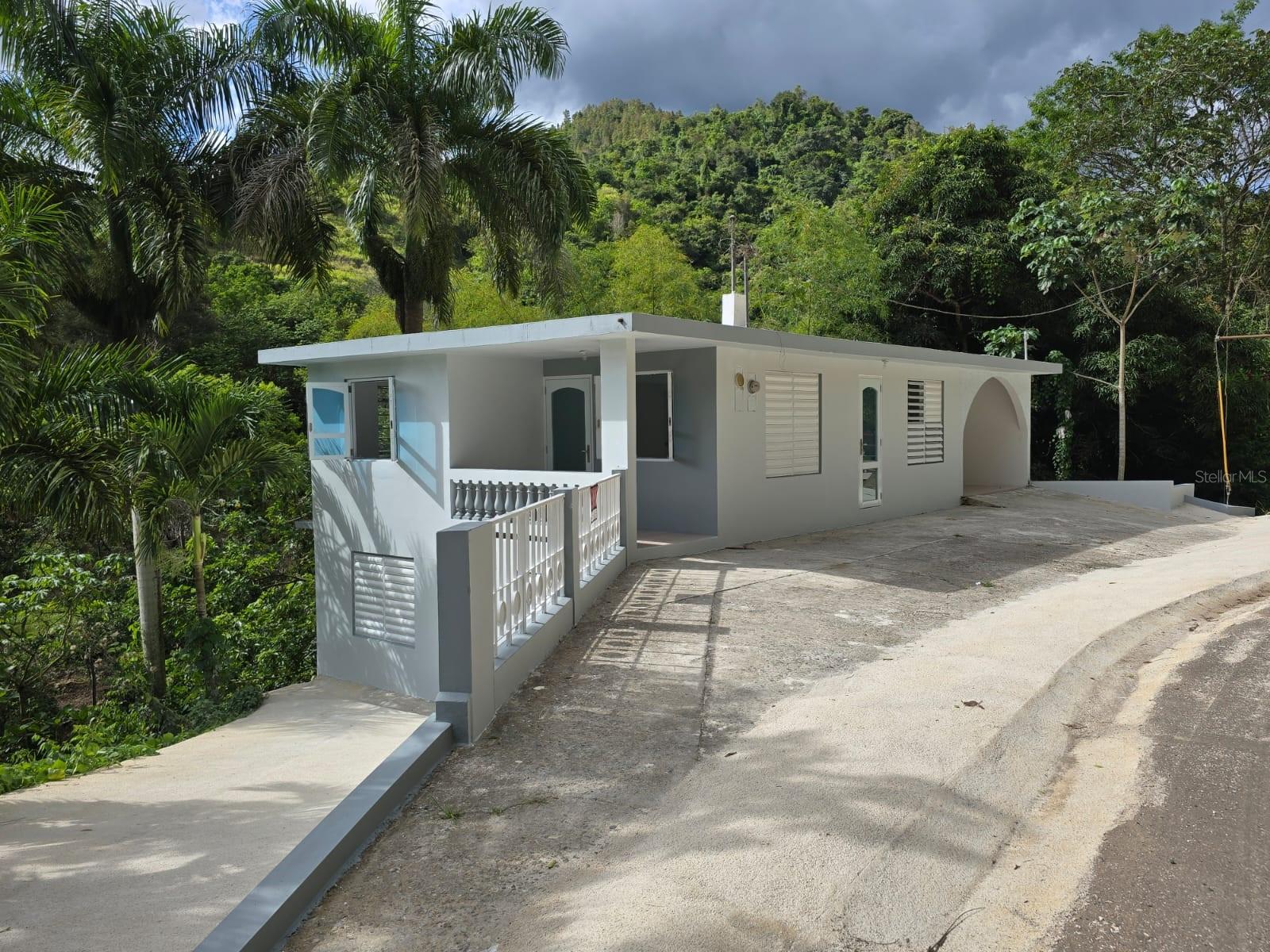 BO. COAMO ARRIBA SECTOR LA ANTILANA - Residential