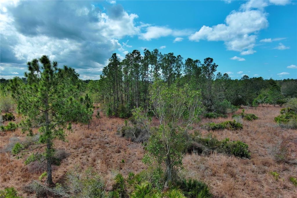 Photo of 2107 405 Ct E, Myakka City, FL 34251 (MLS # A4684409)