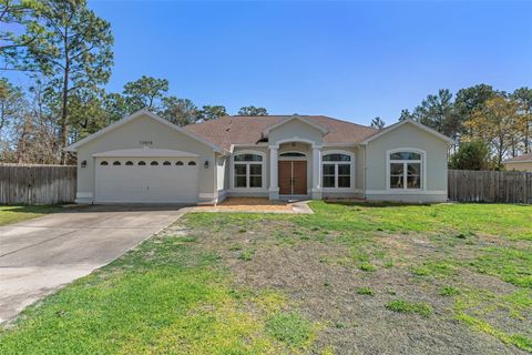 Photo of 17478 Maberly Road, Weeki Wachee, FL 34614 (MLS # A4685900)