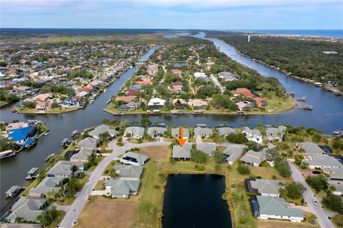 A home in PALM COAST