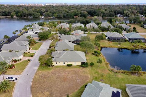 A home in PALM COAST