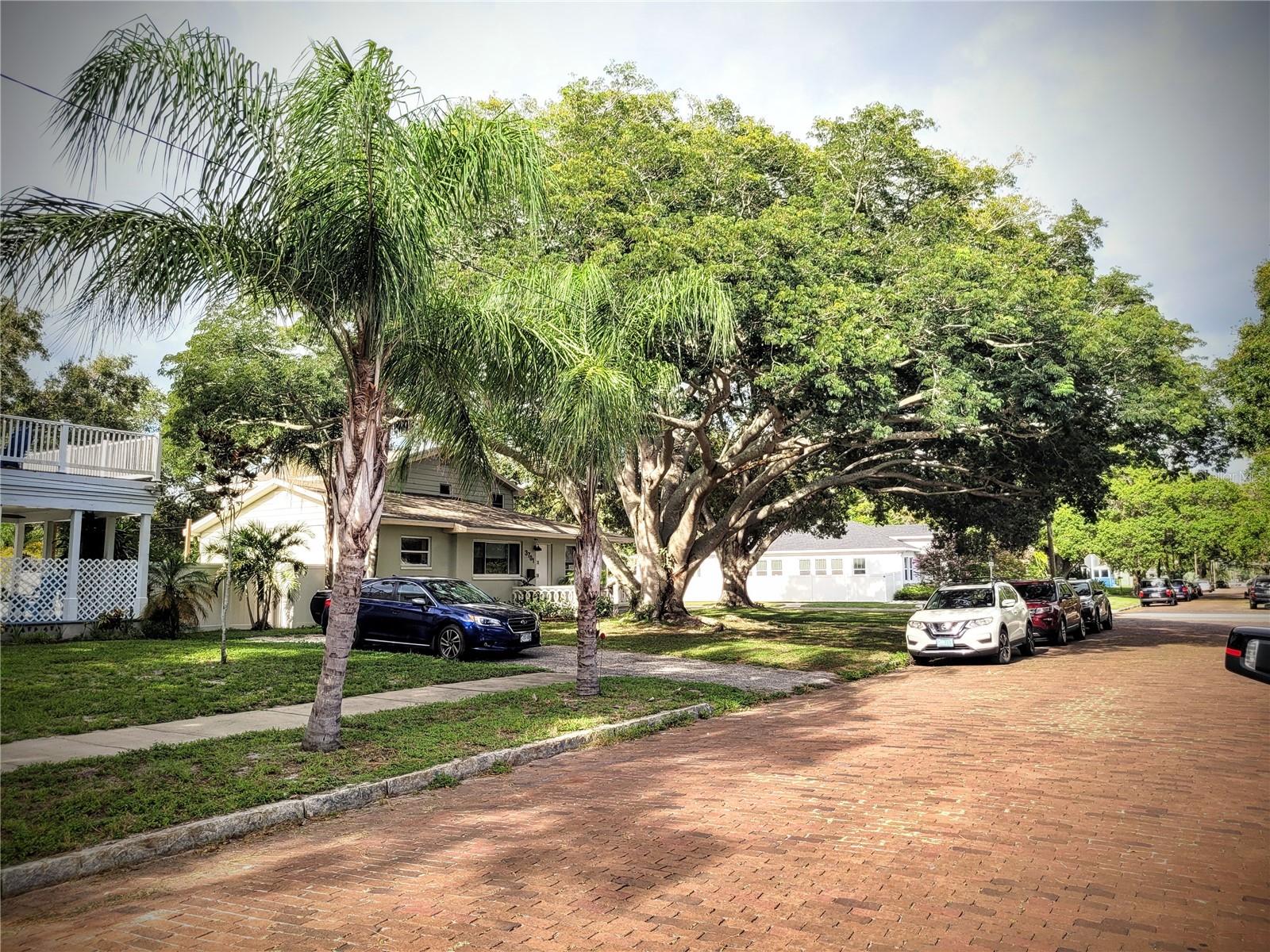 PINECREST PARK - Residential Income