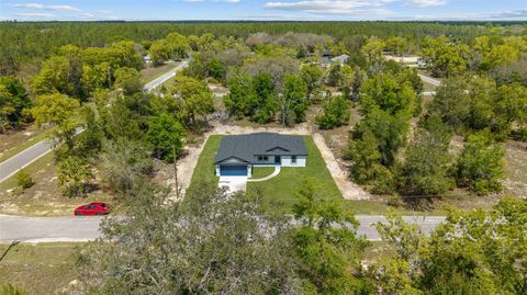 Tiny photo for 5 Malauka Loop Track, Ocklawaha, FL 32179 (MLS # O6409942)