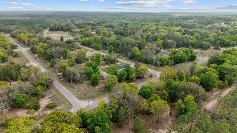 Tiny photo for 5 Malauka Loop Track, Ocklawaha, FL 32179 (MLS # O6409942)