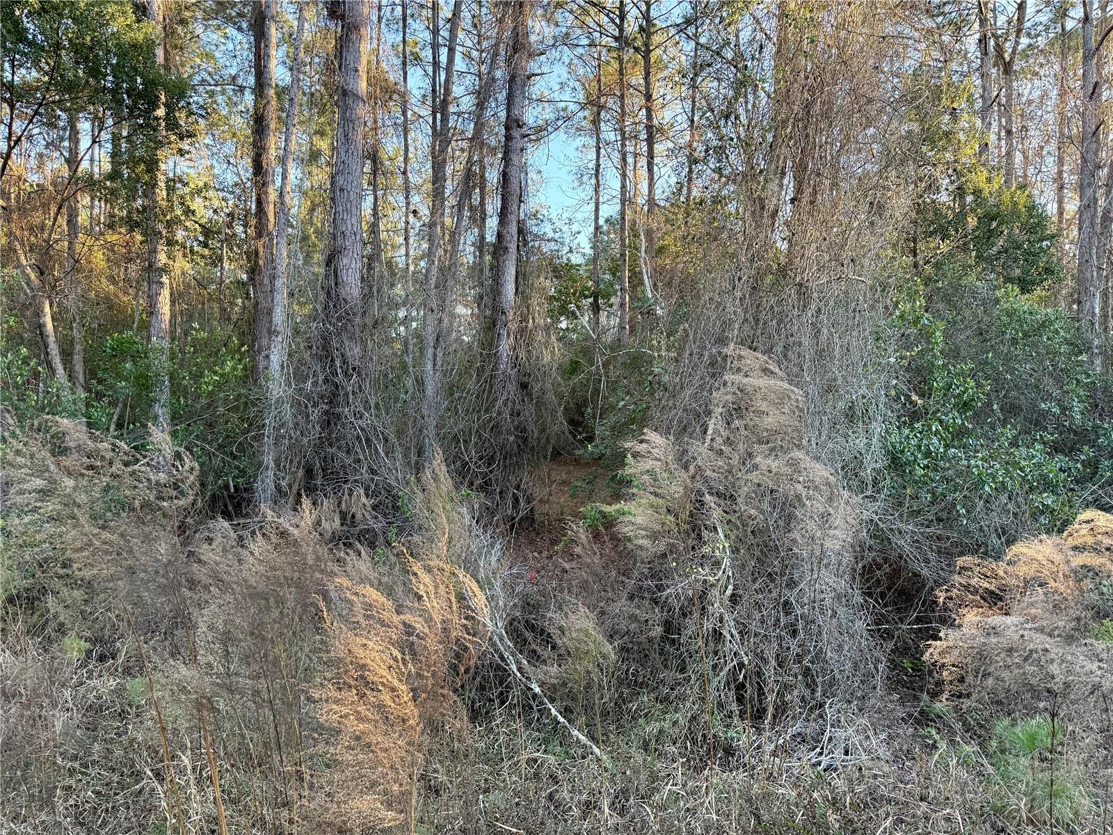 ROYAL TRAILS UNIT 01 - Land