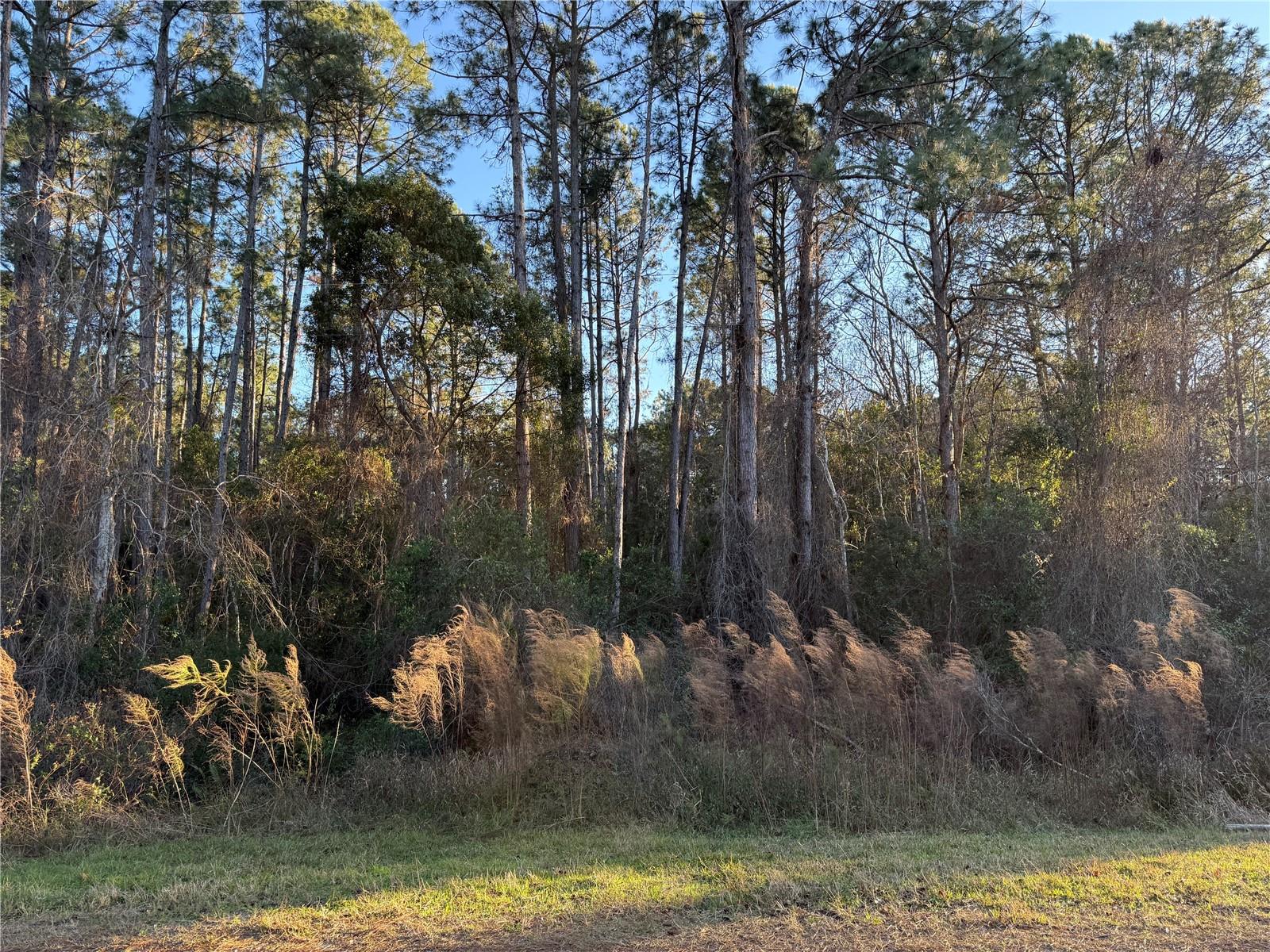 ROYAL TRAILS UNIT 01 - Land