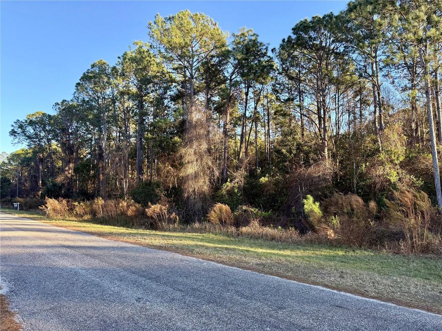 Build your custom dream home on this 1-acre lot in the picturesque equestrian community of Royal Trails, Eustis, Florida. Enjoy country living just an hour from Central Florida's attractions, with zoning for 2 horses per acre. Benefit from deeded access to nearly 1,200 acres of Lake Norris and the 3,600-acre Conservation Area, perfect for outdoor activities like canoeing, kayaking, and hiking. The community offers a park, playground, and a clubhouse with year-round events. With a minimum build size of 1,200 square feet, you can park your RV and boat after construction. Explore miles of paved roads for biking, jogging, or golf cart rides. The HOA fee is only $92 a year, with restrictions against mobile or manufactured homes. Tour the property today!