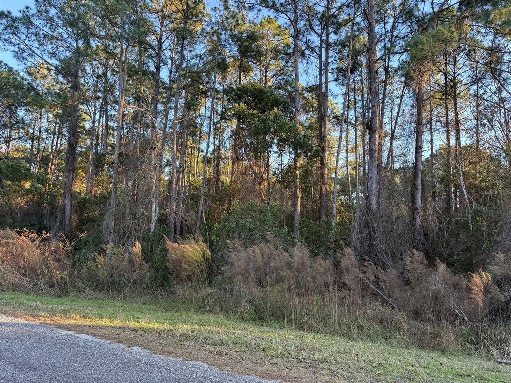 Photo of Apricot Avenue, Eustis, FL 32736 (MLS # O6374305)