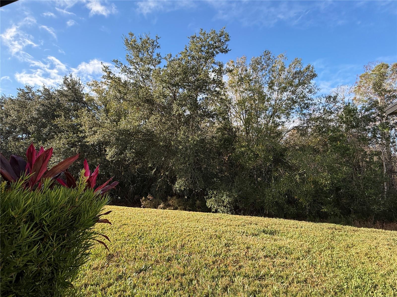 SOLIVITA PH 7D - Residential