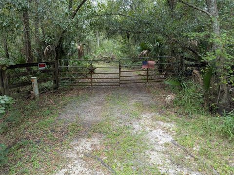 Photo of 7062 Crooked Creek Lane, Zolfo Springs, FL 33890 (MLS # C7515648) Photo of 7062 Crooked Creek Lane, Zolfo Springs, FL 33890 (MLS # C7515648)