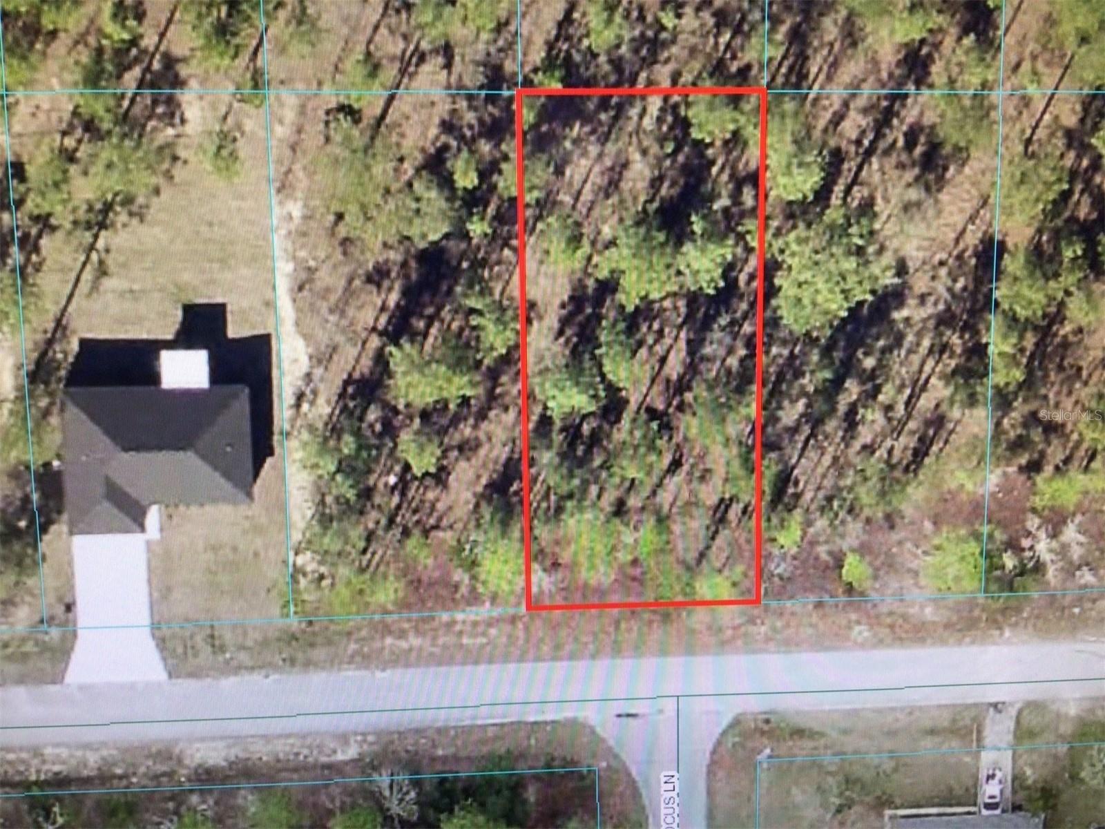 Nice deep lot in an area near Rainbow Springs.
