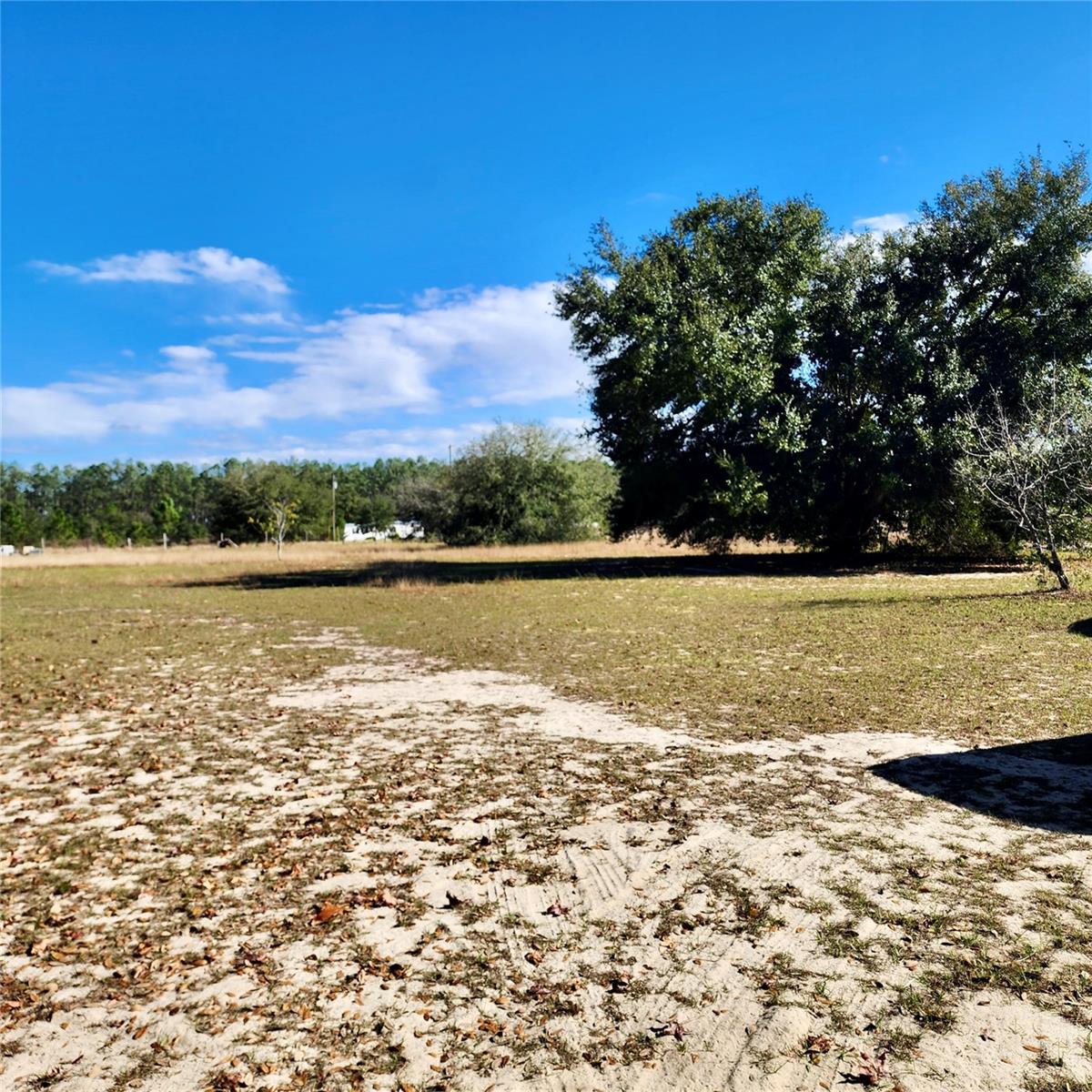 SADDLEBACK RDG - Residential