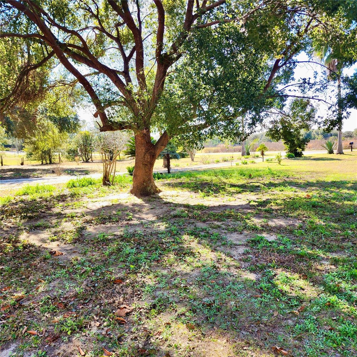 SADDLEBACK RDG - Residential