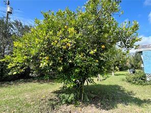 SADDLEBACK RDG - Residential