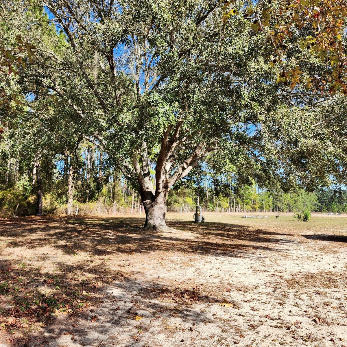 SADDLEBACK RDG - Residential