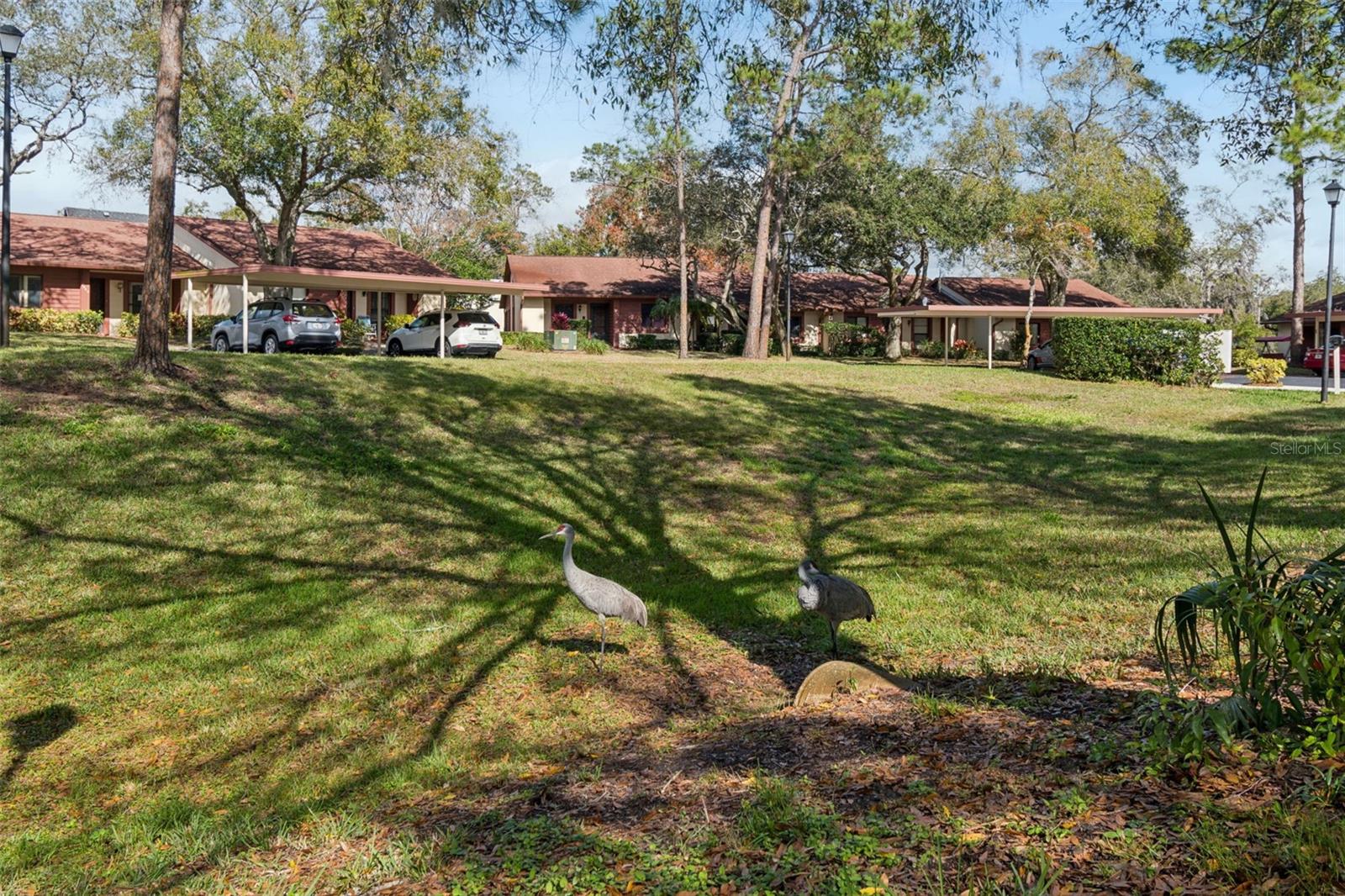 BEACON WOODS - Residential