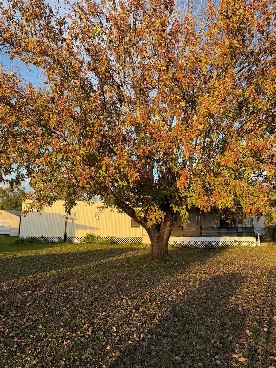 NORTH MOBILE VILLAGE - Residential