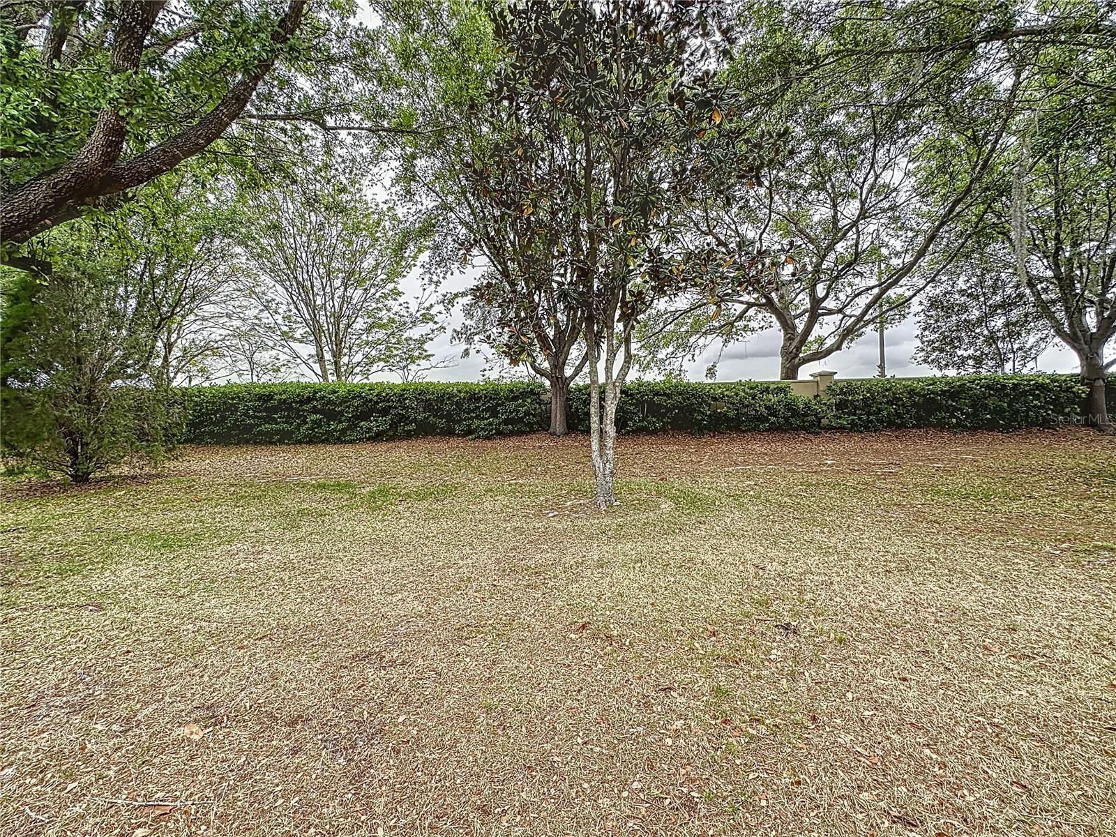 CASCADES OF GROVELAND (TRILOGY) - Residential