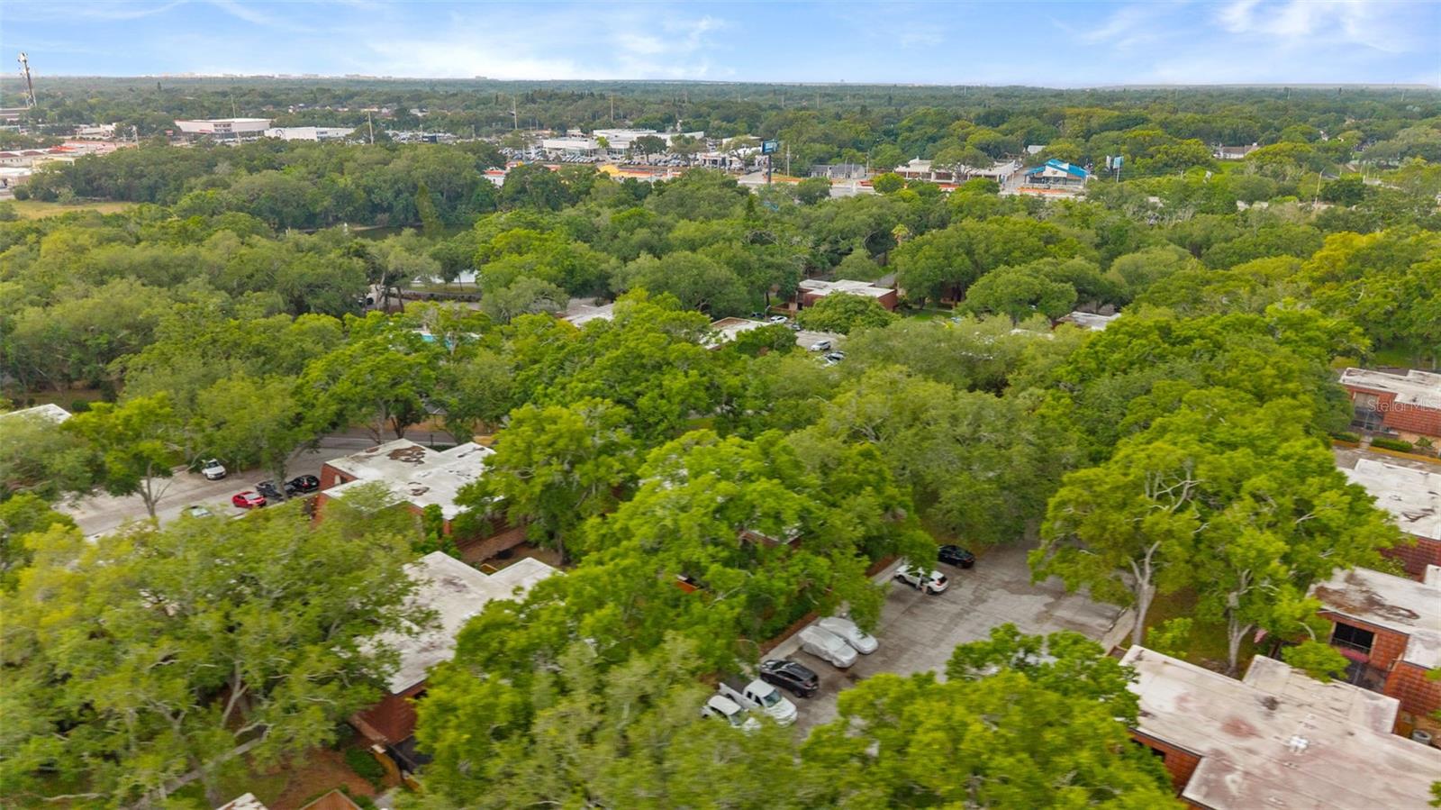 WEDGE WOOD OF PALM HARBOR - Residential