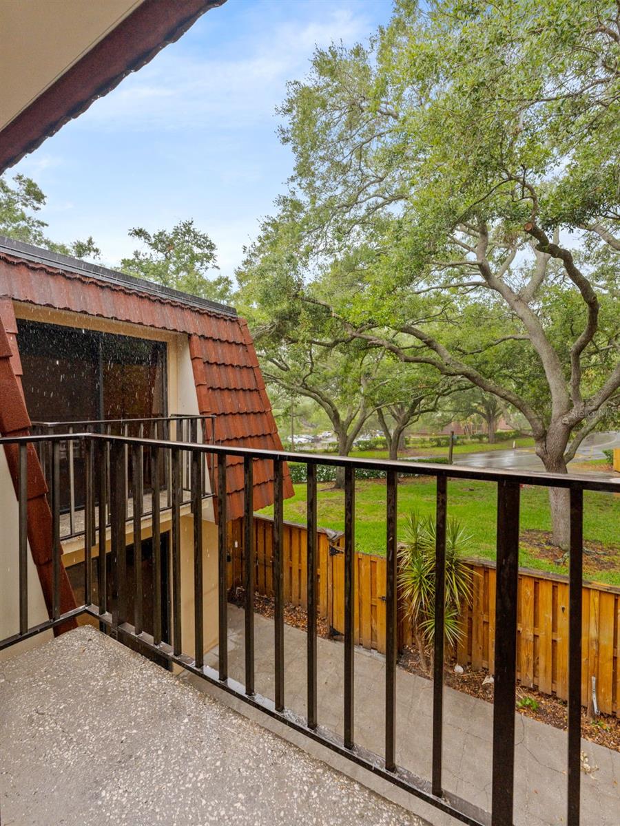 WEDGE WOOD OF PALM HARBOR - Residential
